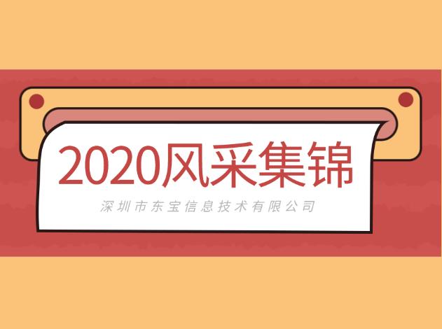 攜手、突破、共贏，東寶軟件2020風采集錦！